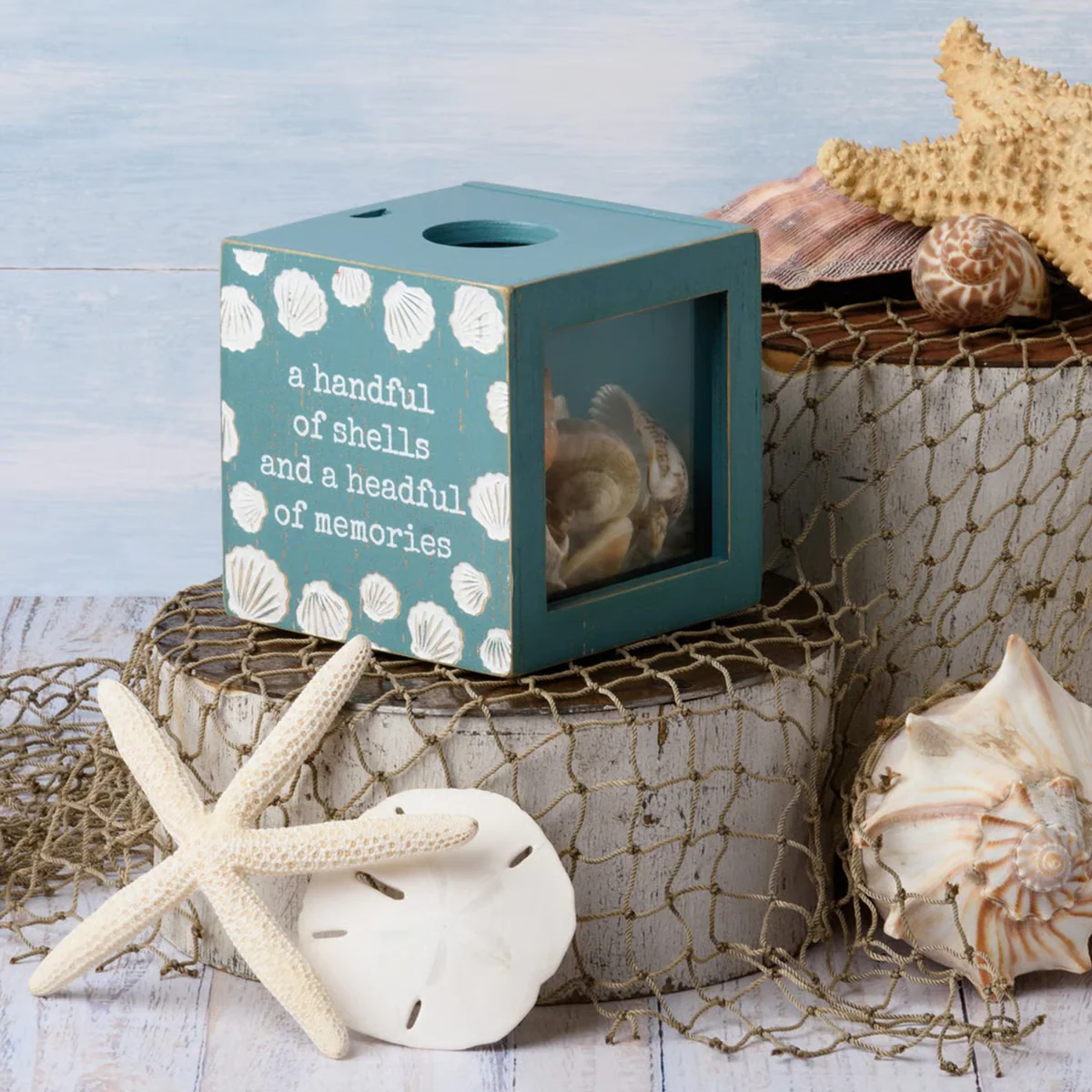 A Handful OF Shells A Headful Of Memories Shell Holder - Image 3