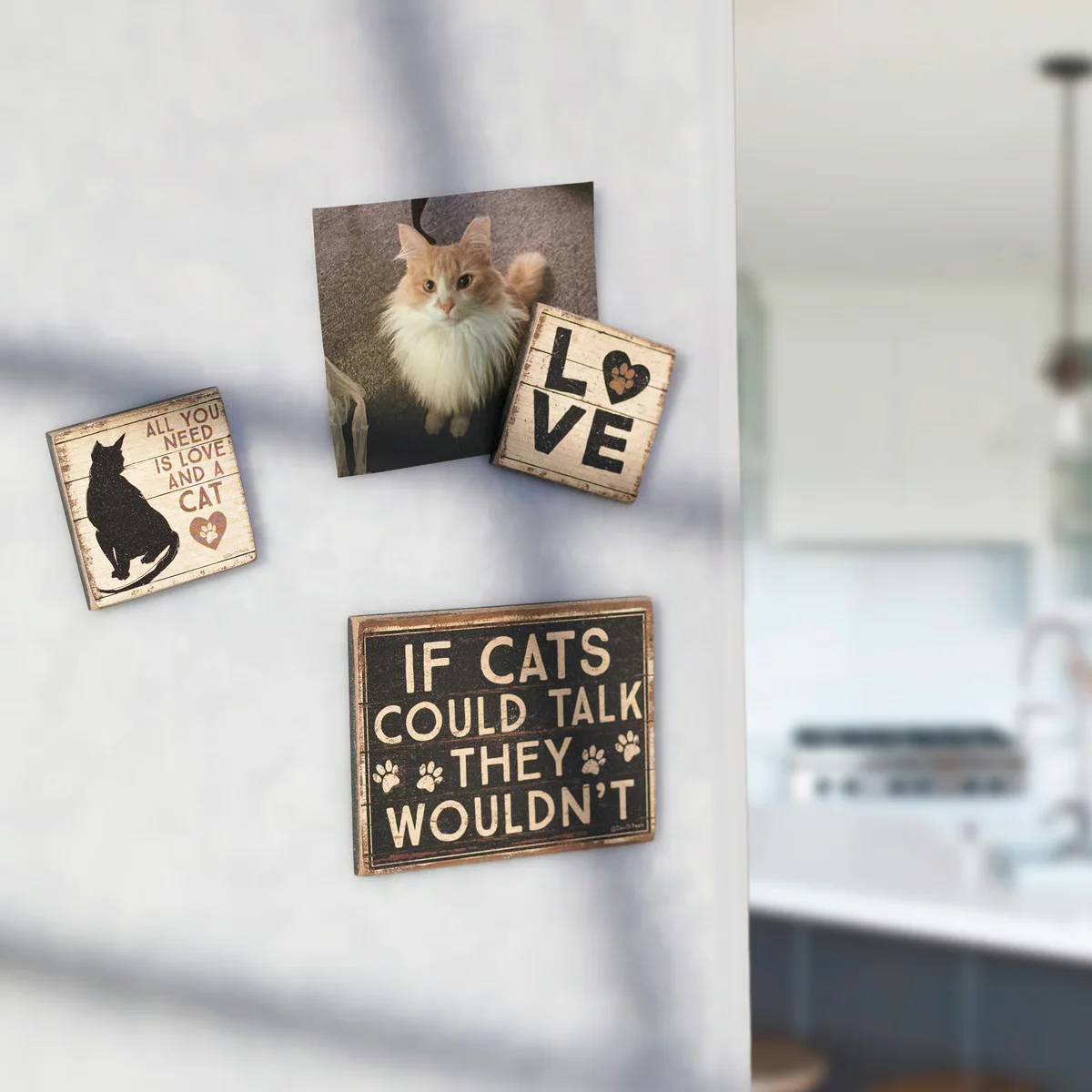 Surprise Me Sale 🤭 All You Need Is Love And A Cat Magnet Set - Image 2