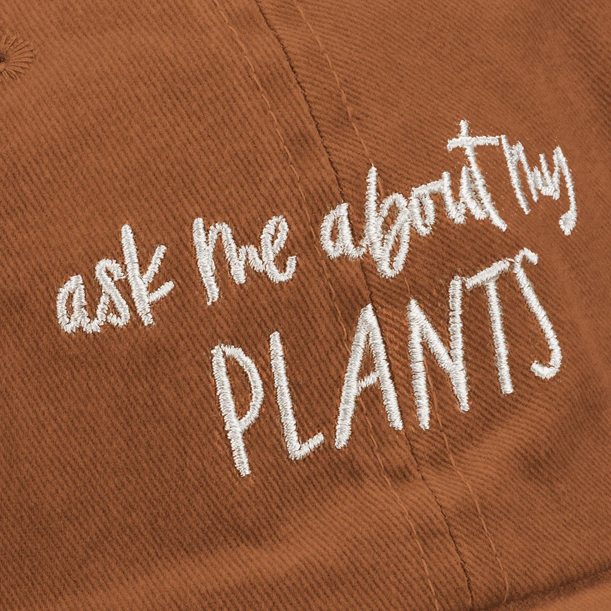 💙 Ask Me About My Plants Baseball Hat - Image 3