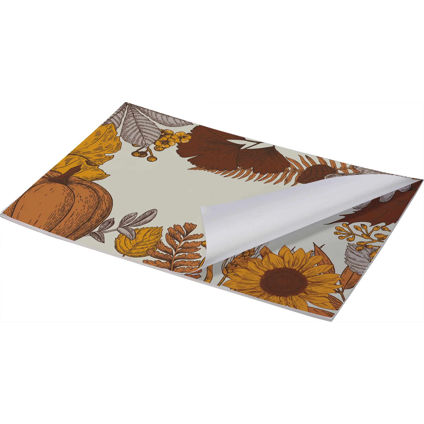 Surprise Me Sale 🤭 Autumn Pumpkins and Leaves Paper Placemats Set of 24