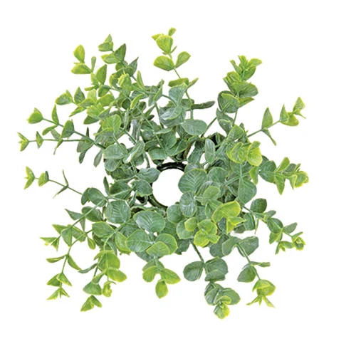 Baby Eucalyptus 5" Faux Foliage Ring