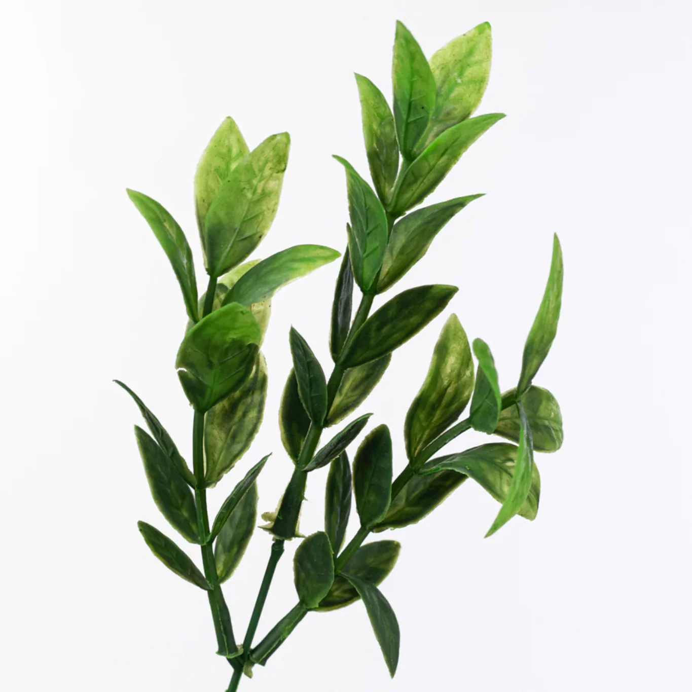 Baby Ruscus 14" Faux Foliage Bush - Image 2