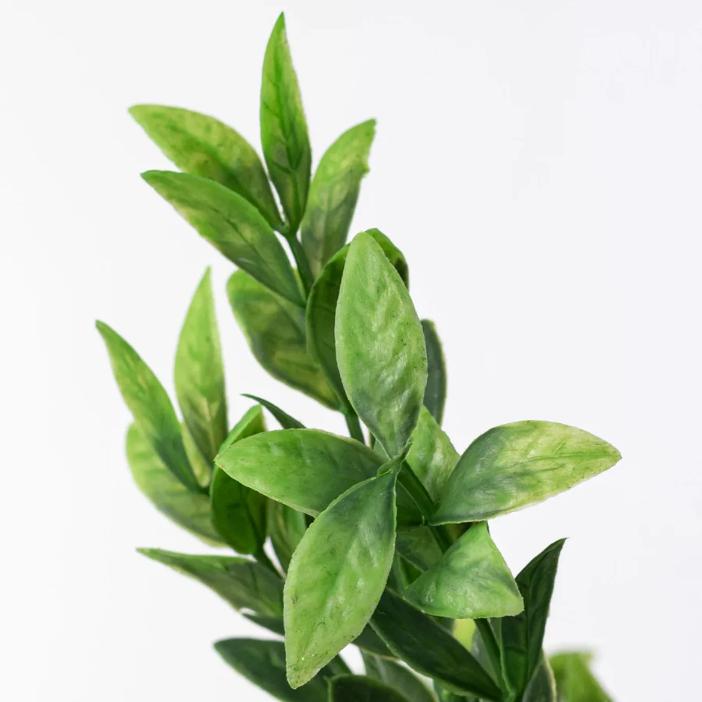Baby Ruscus 14" Faux Foliage Bush - Image 3