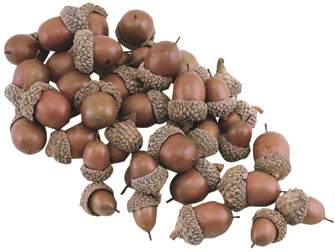 ๐ Bag of Resin Acorns - 40 pcs