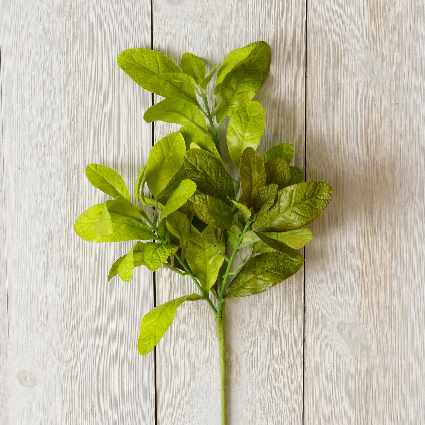 ๐ Beech Leaves 18.5" H Faux Foliage Spray