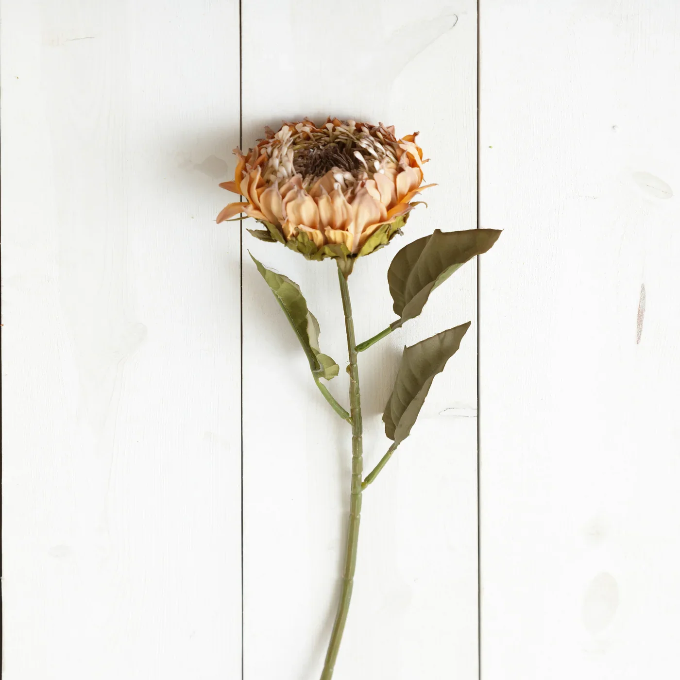 Beige Protea 28" Faux Floral Stem