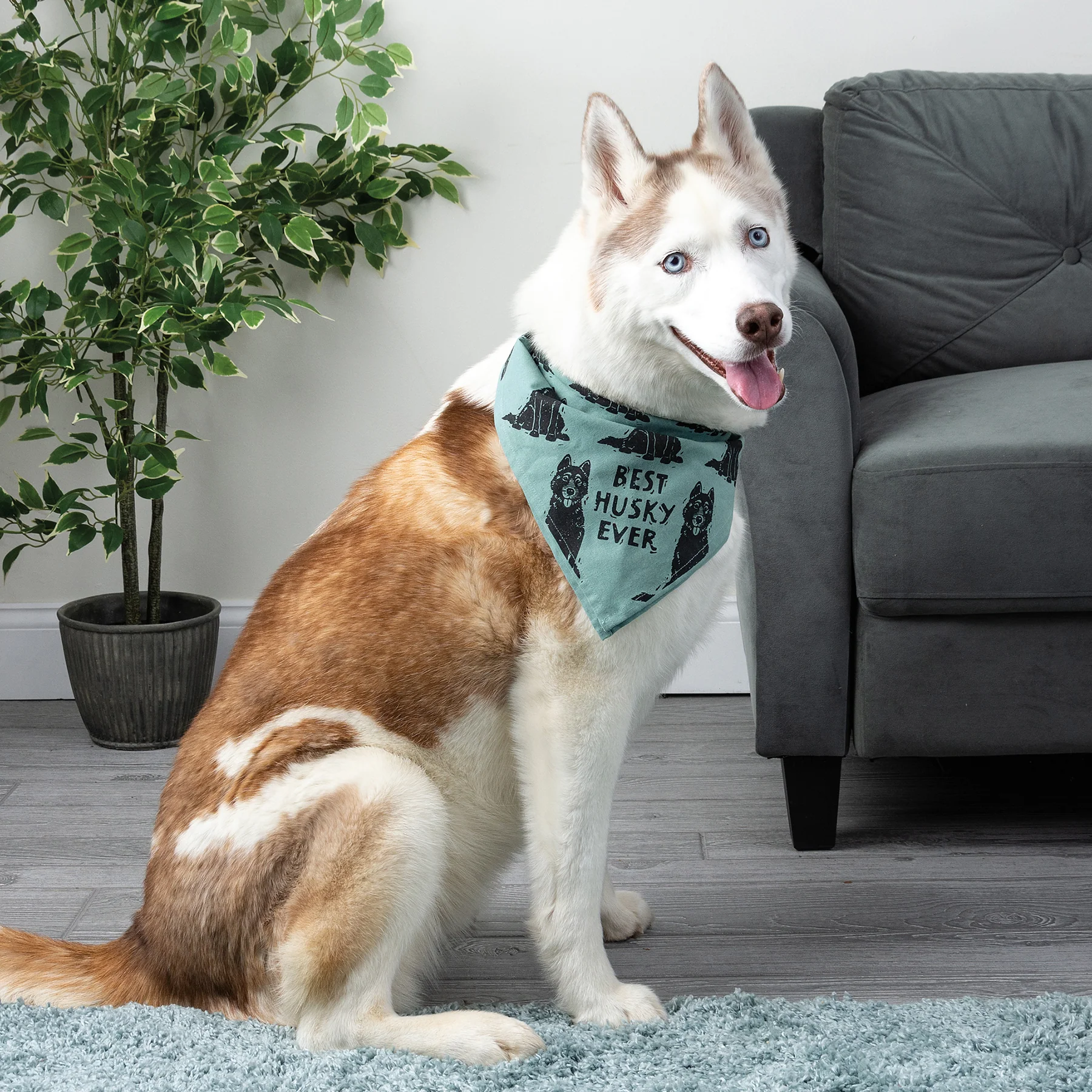 💙 Best Husky Ever Love My Human Pet Bandana Large - Image 3