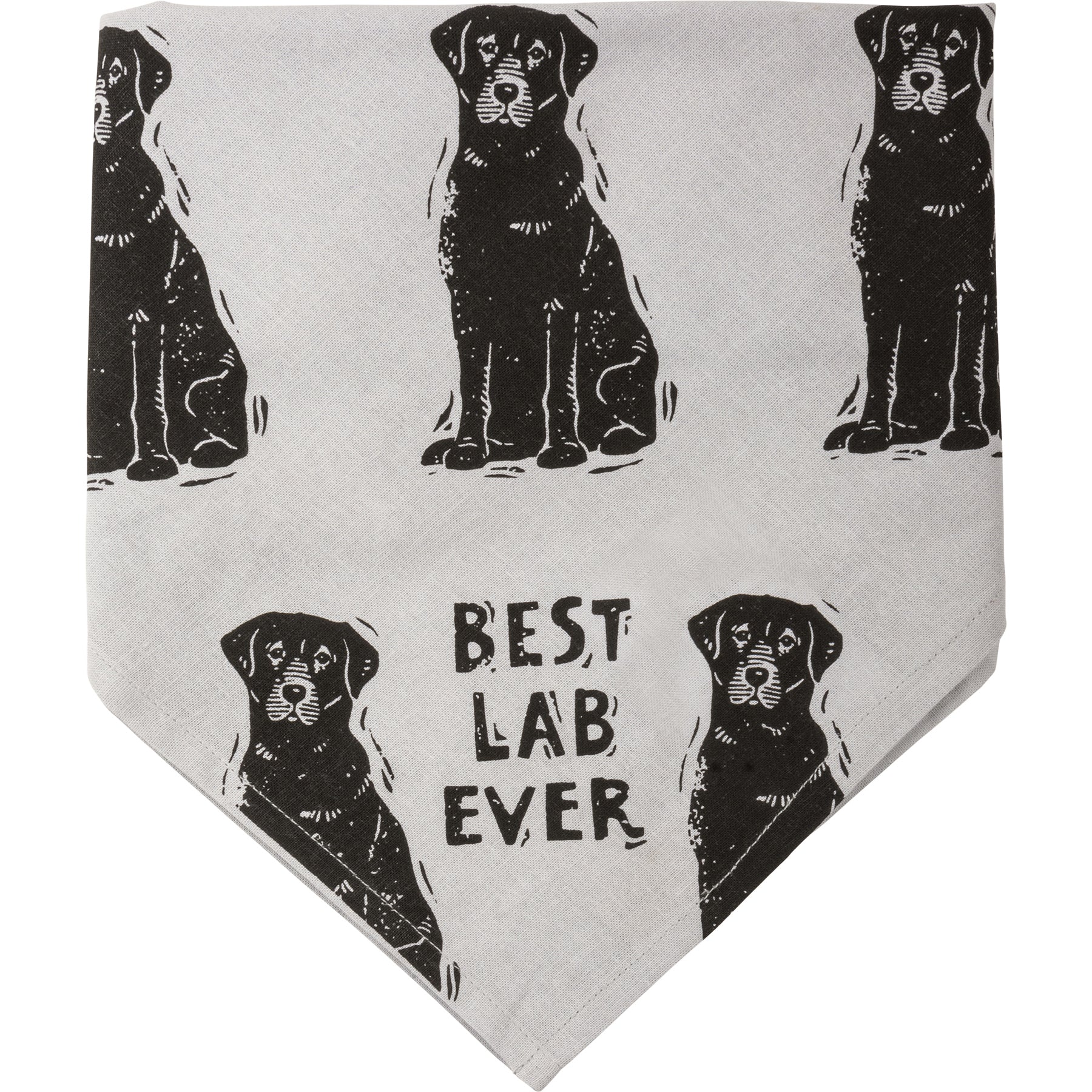 Surprise Me Sale 🤭 💙 Best Lab Ever Love My Human Pet Bandana Large