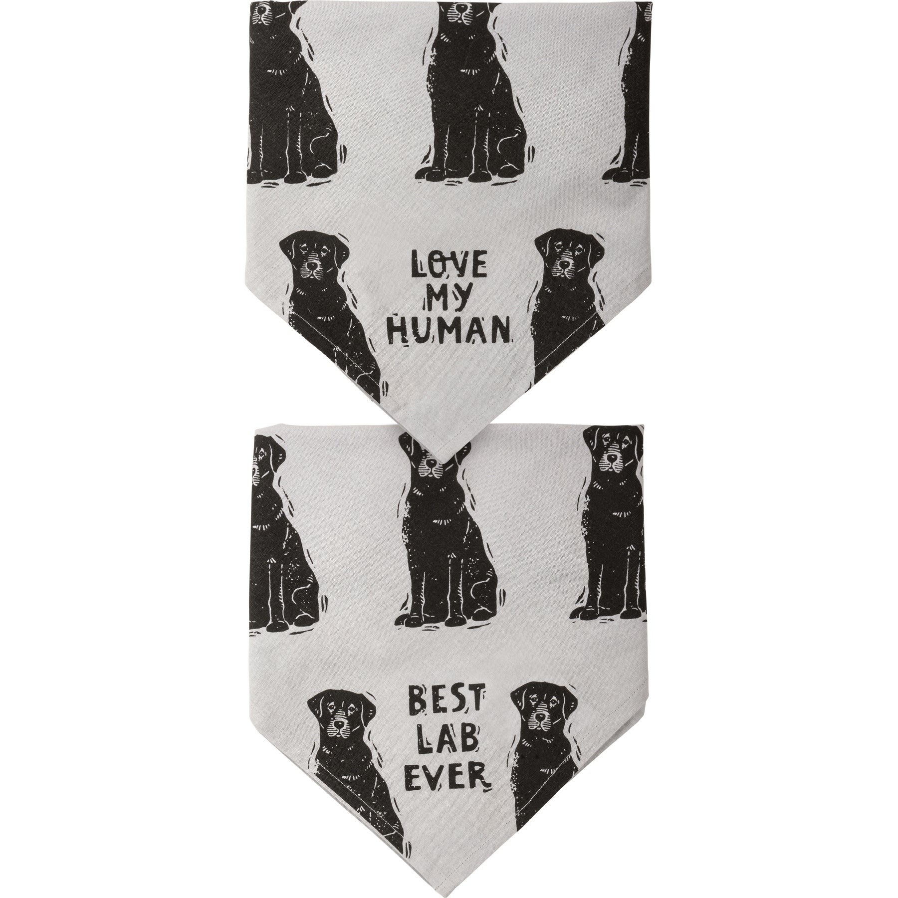 Surprise Me Sale 🤭 💙 Best Lab Ever Love My Human Pet Bandana Large - Image 2