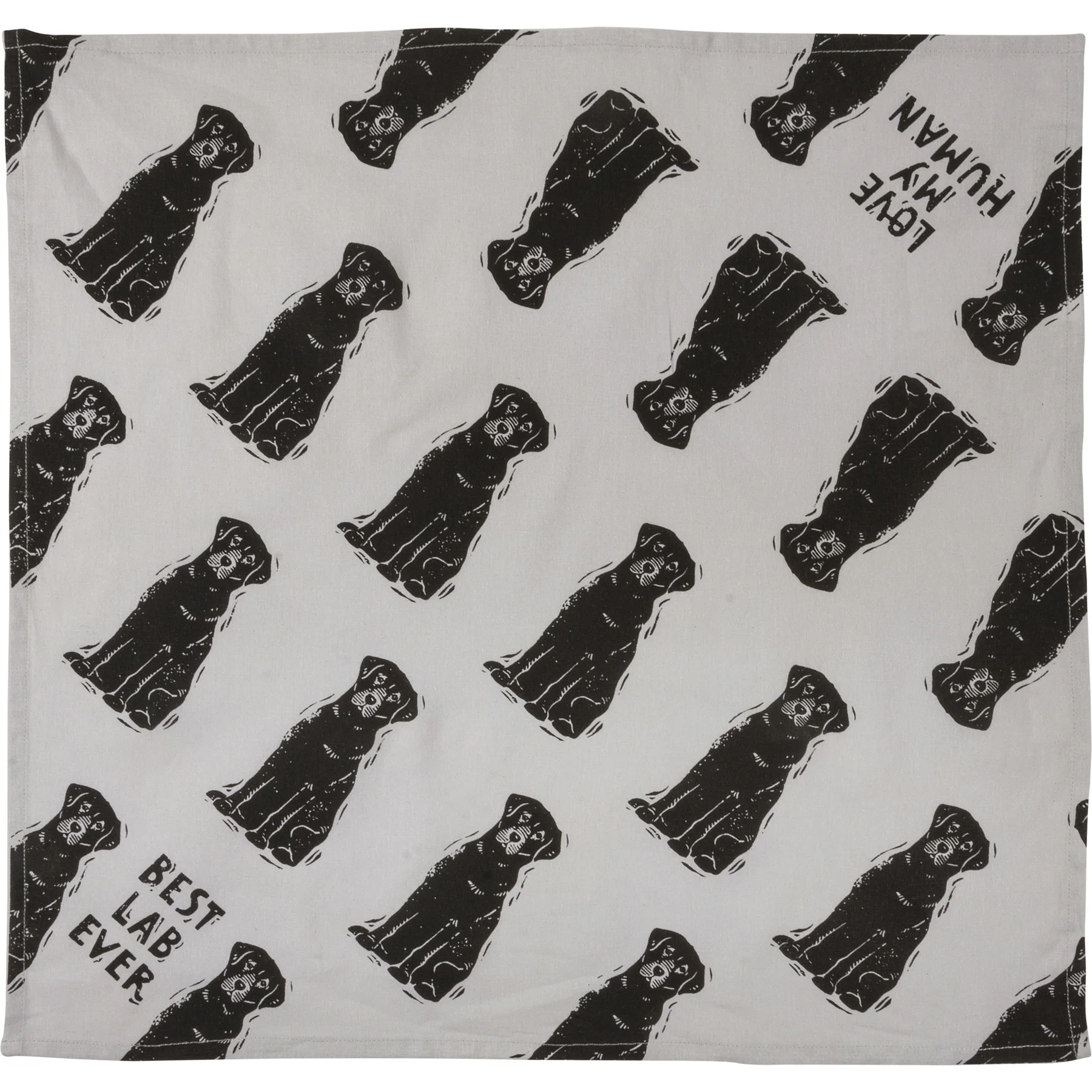 Surprise Me Sale 🤭 💙 Best Lab Ever Love My Human Pet Bandana Large - Image 6