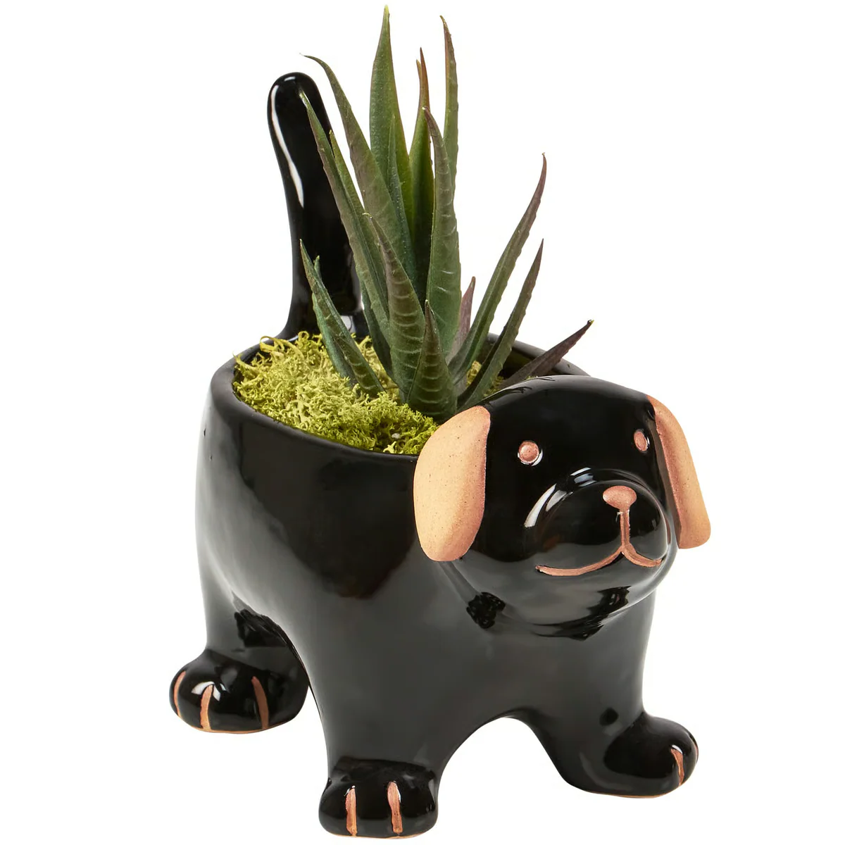 Black Dog Ceramic Planter