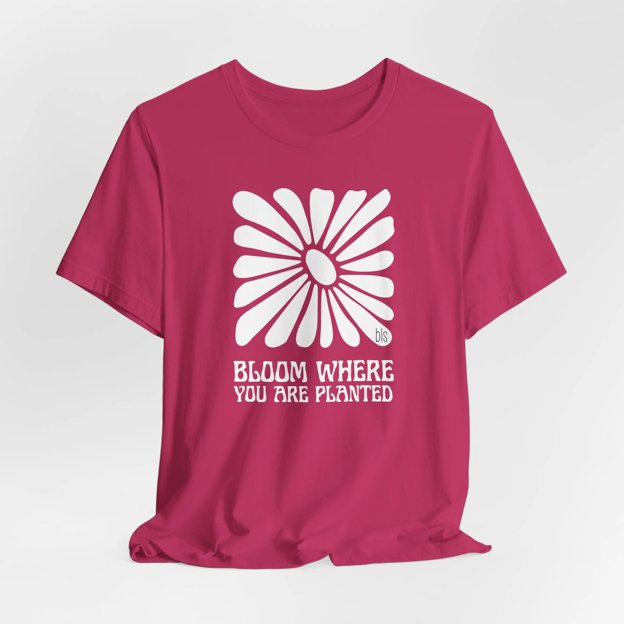 🔥 Bloom Where You Are Planted Cozy T-Shirt - Image 4