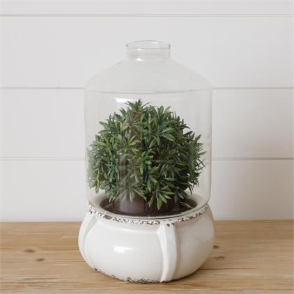 Botanical Glass Terrarium With Ceramic Base