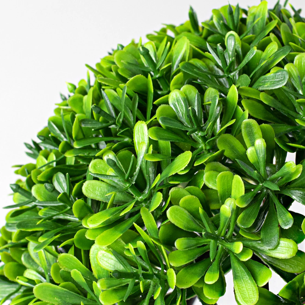 ๐ Boxwood 6" Faux Foliage Half Ball - Image 5