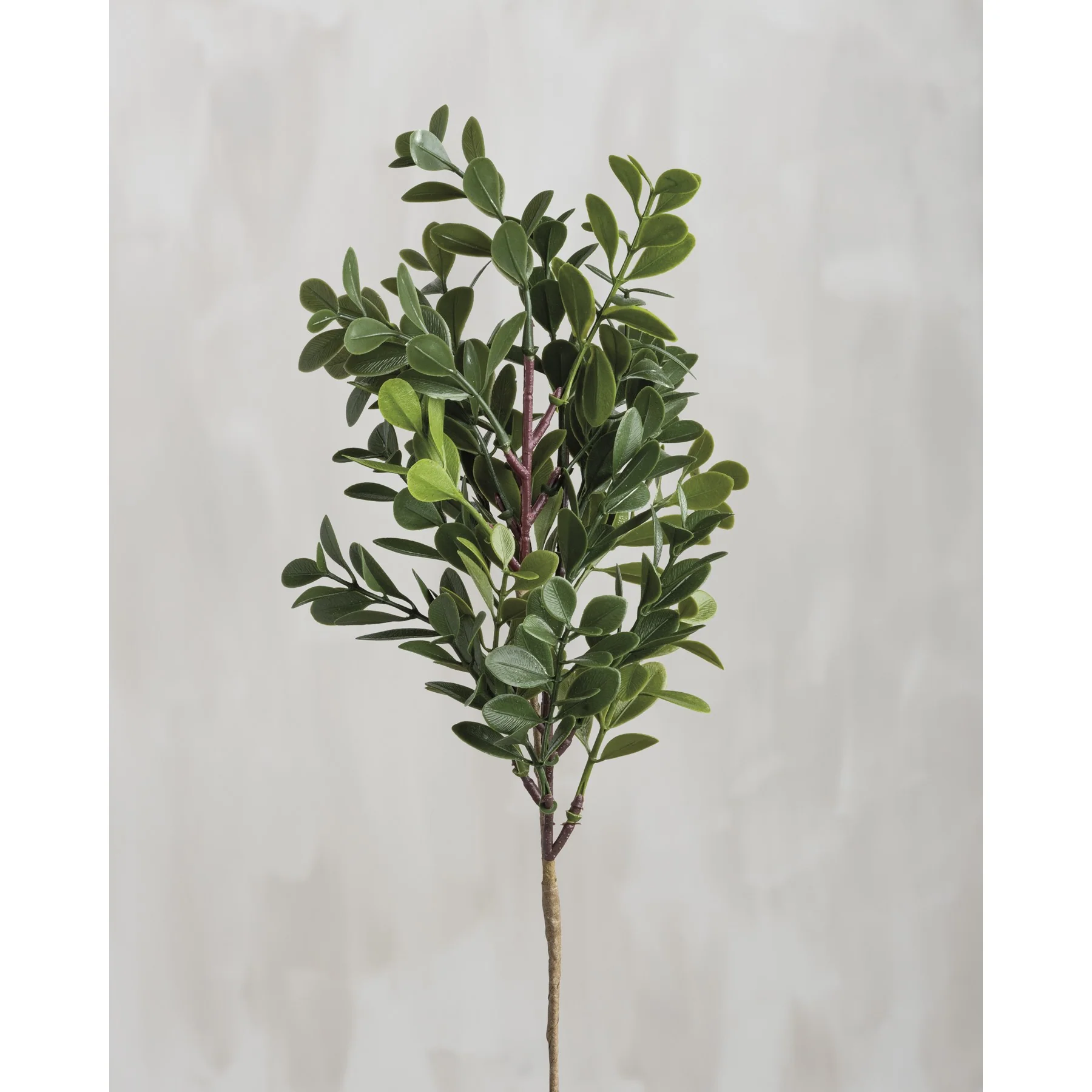 💙 Boxwood Faux Foliage 11" Spray