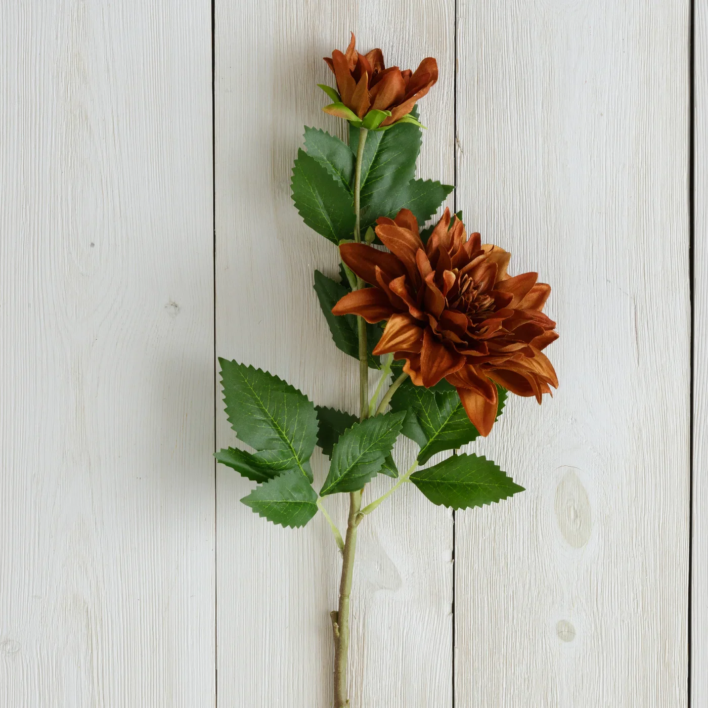 Brown Dahlia Flowers 25" Faux Floral Stem