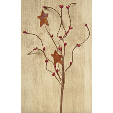๐ Burgundy Pip Berries & Rusty Star 12" Pick