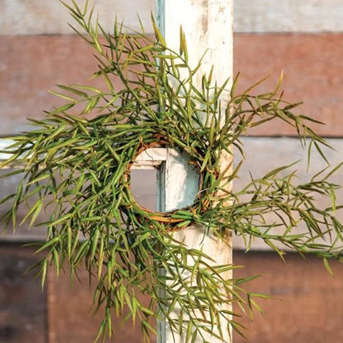 💙 Carolina Dill 8" Faux Foliage Small Wreath