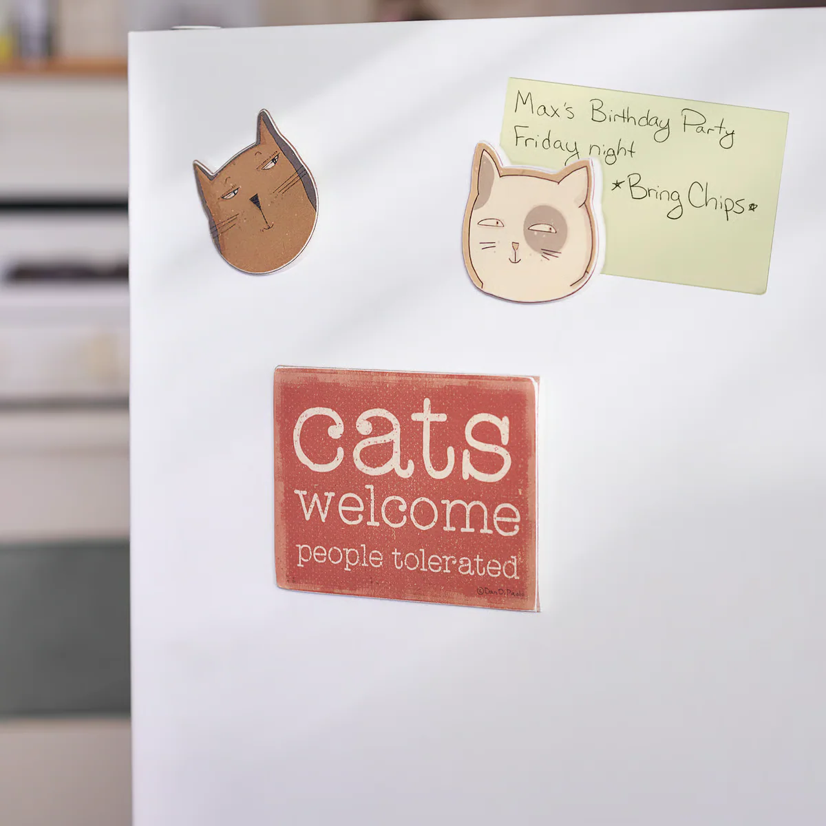 ๐ Cats Welcome People Tolerated Magnet Set - Image 2