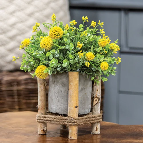 Cement Planter in Rustic Wooden Frame 5.5"H - Image 2