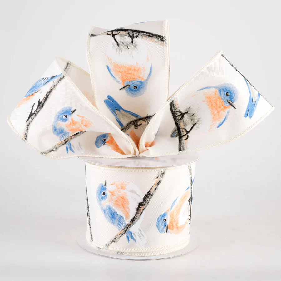 ๐ Chubby Blue & Orange Birds Ribbon 2.5" x 10 yards