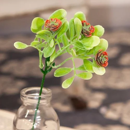 ๐ Coral Buds Faux Succulent Bush
