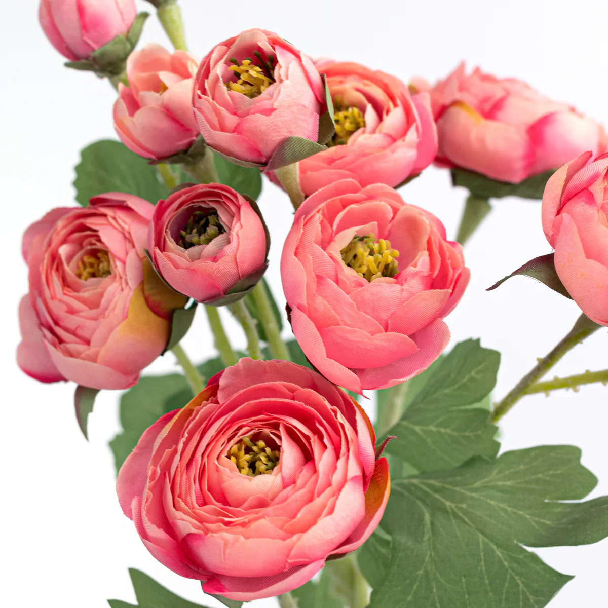 Coral Pink Ranunculus 21" Spray - Image 2