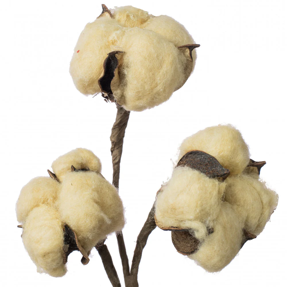 ๐ Cotton Boll Tea Stain 12" Pick - Image 2