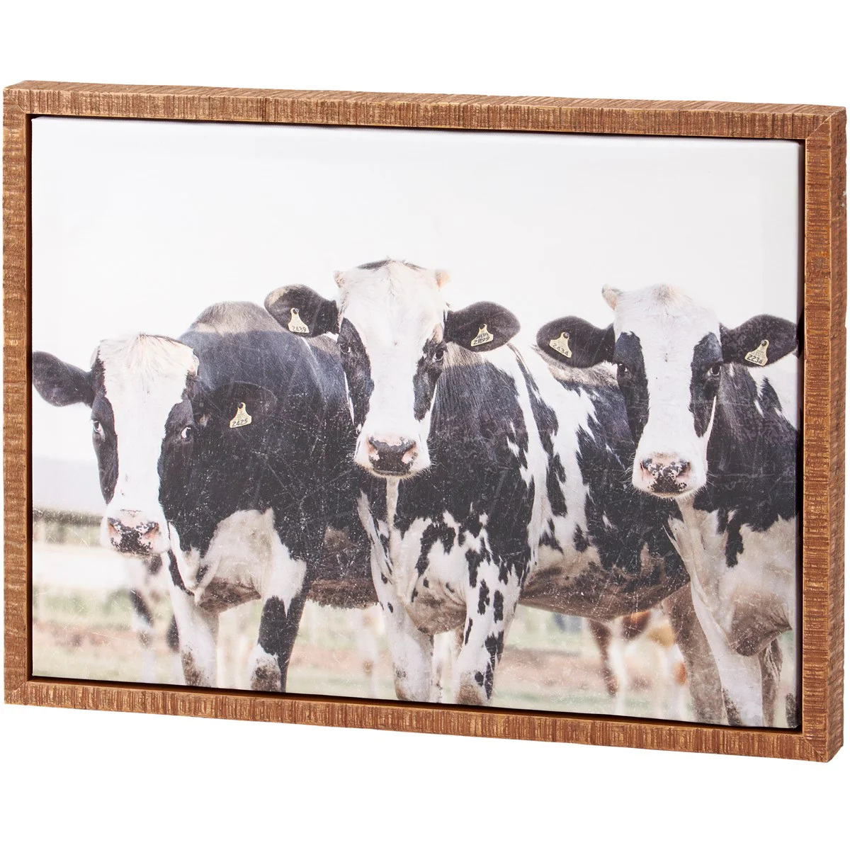 Surprise Me Sale 🤭 Cow Trio Canvas Wall Art 12"
