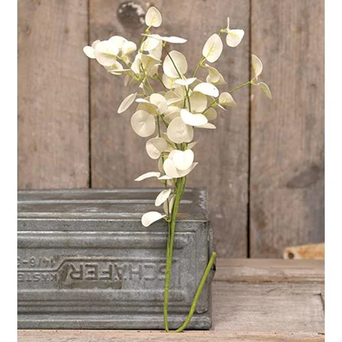๐ Cream Foamy Silver Dollar 21" Faux Spray