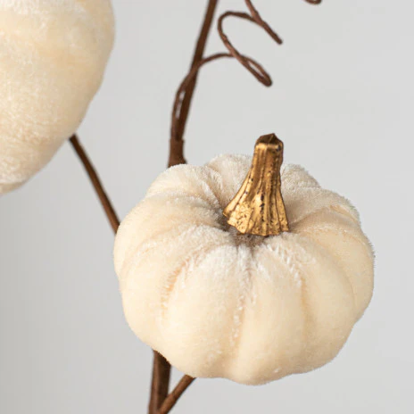 Cream Velvet Pumpkin 16" Pick - Image 2