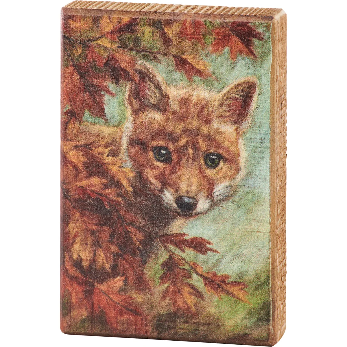 ๐ Curious Fox 6" Wooden Block Sign