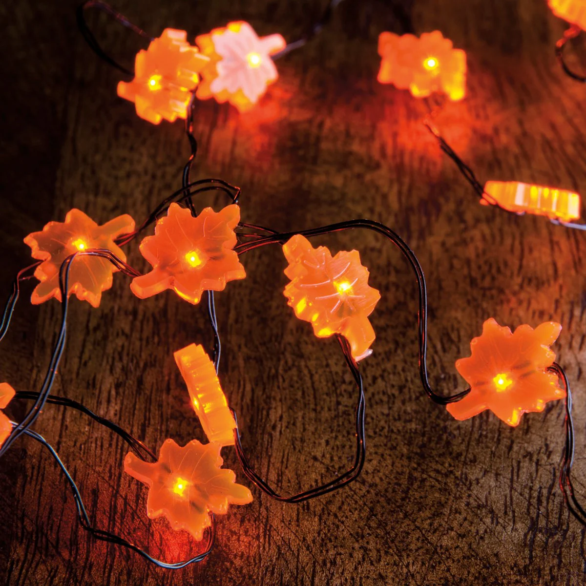 Fall Leaf Shaped 20 ct Mini Lights 6 hr Timer Battery Powered - Image 2