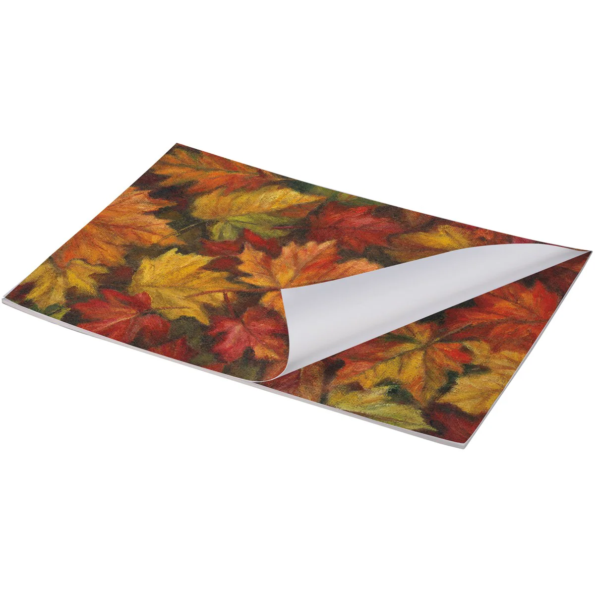 ๐ Fall Leaves Paper Placemat Pad of 24