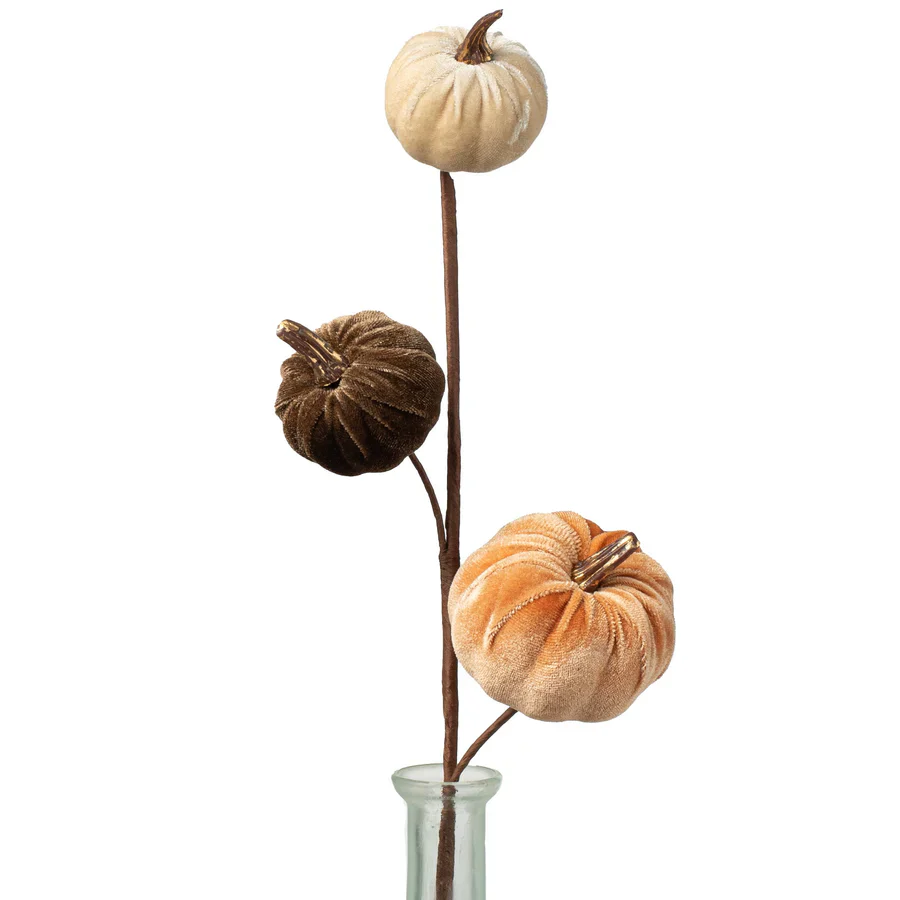 Fall Mix Velvet Pumpkins with Gold 15" Stem Pick