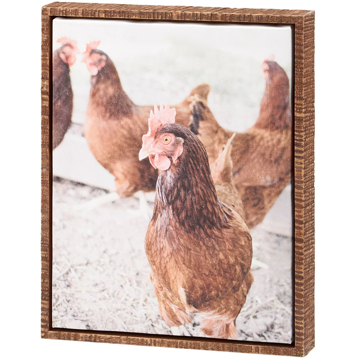 Surprise Me Sale 🤭 Farm Chickens 10" Canvas Wall Art