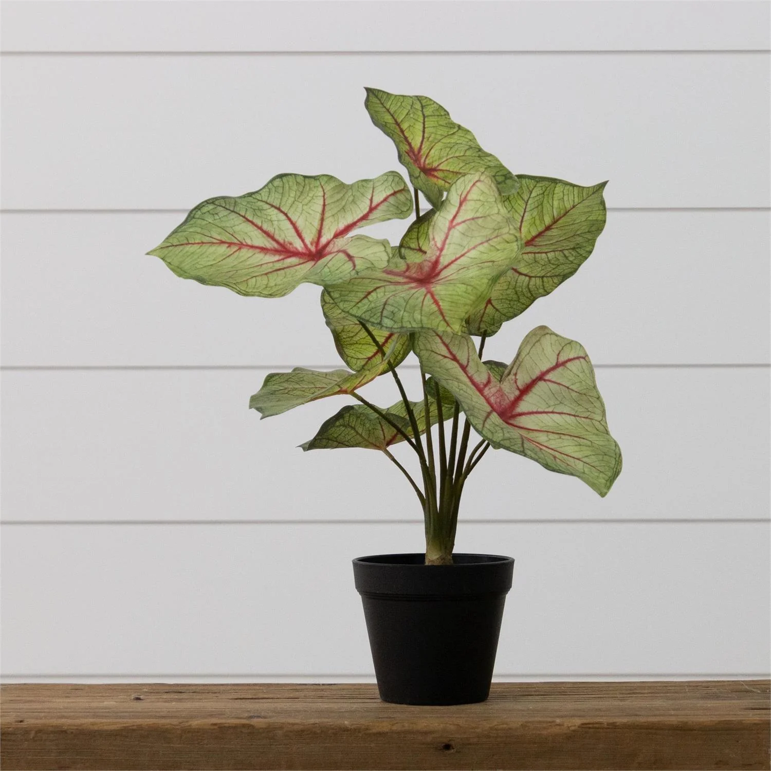 Faux Potted Caladium Houseplant 18" H