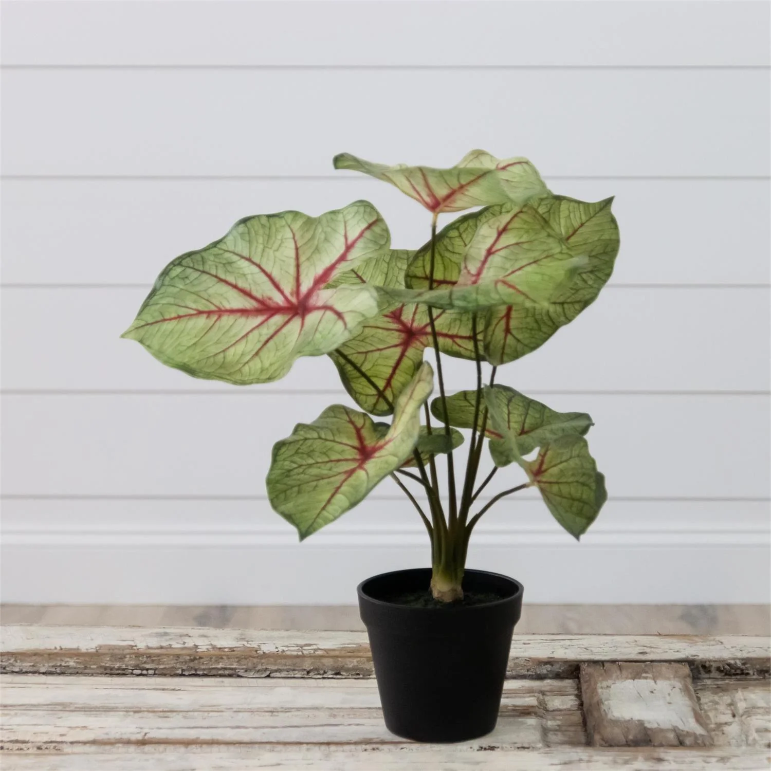 Faux Potted Caladium Houseplant 18" H - Image 2