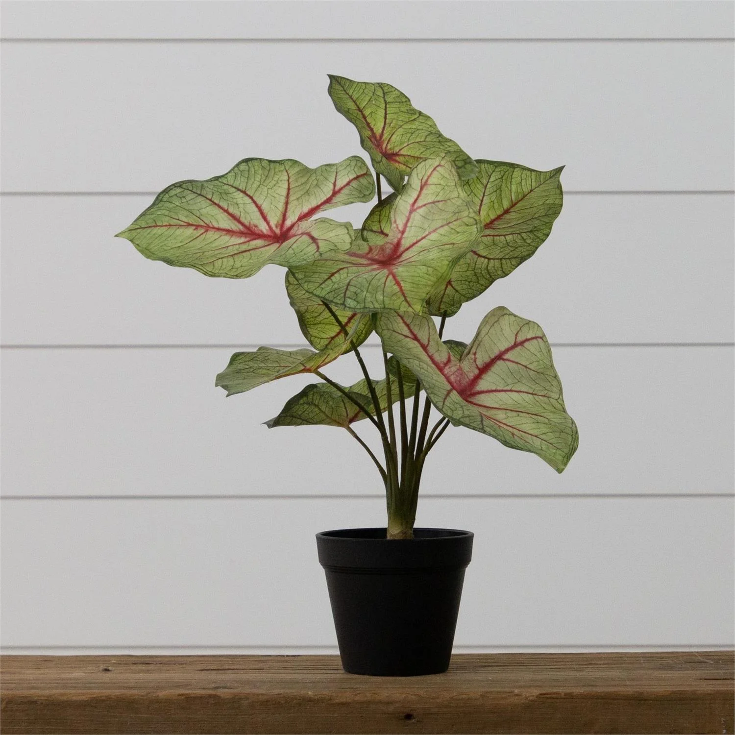 Faux Potted Caladium Houseplant 18" H - Image 3
