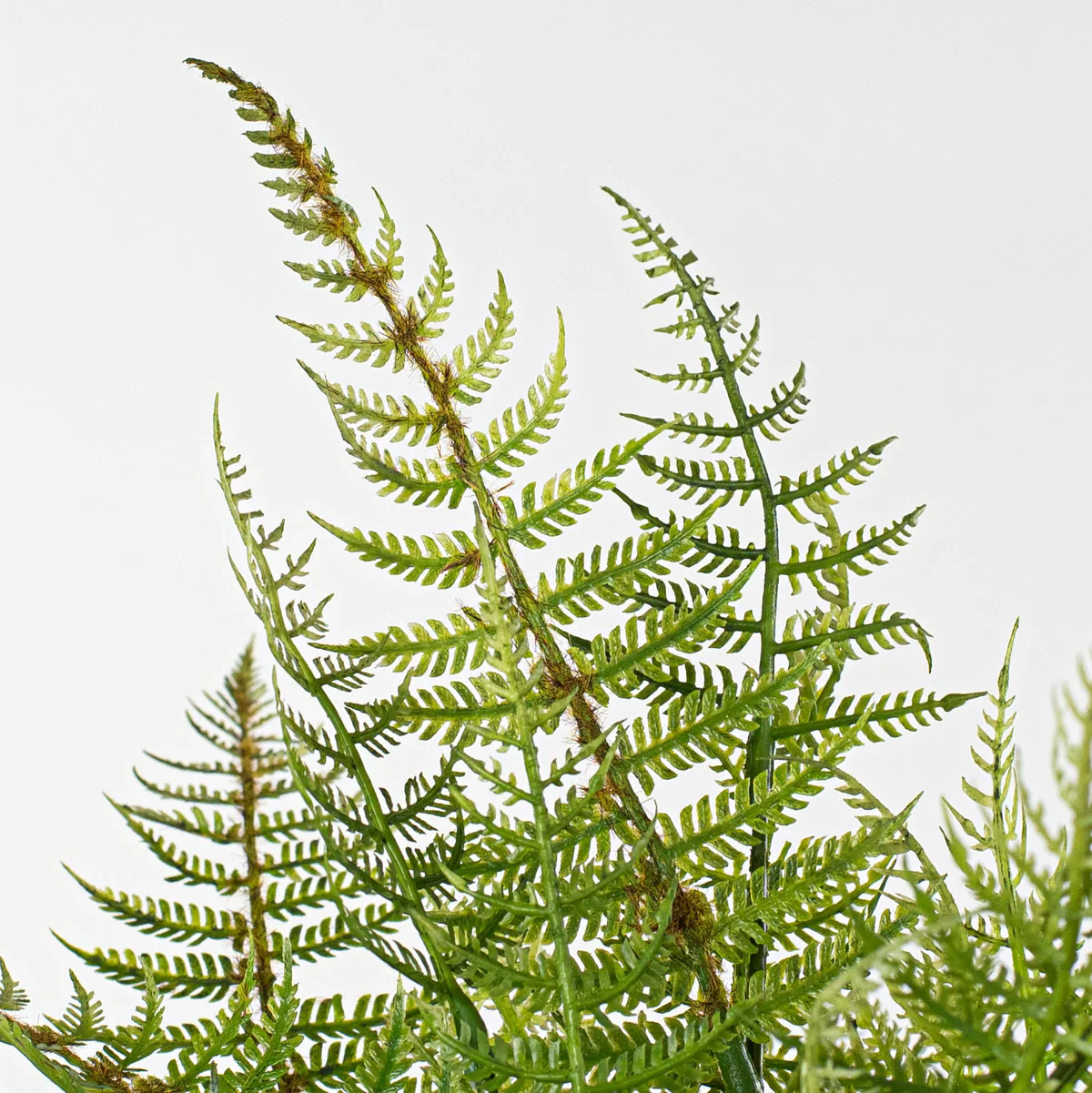 ๐ Fern 17" Faux Foliage Bush - Image 2