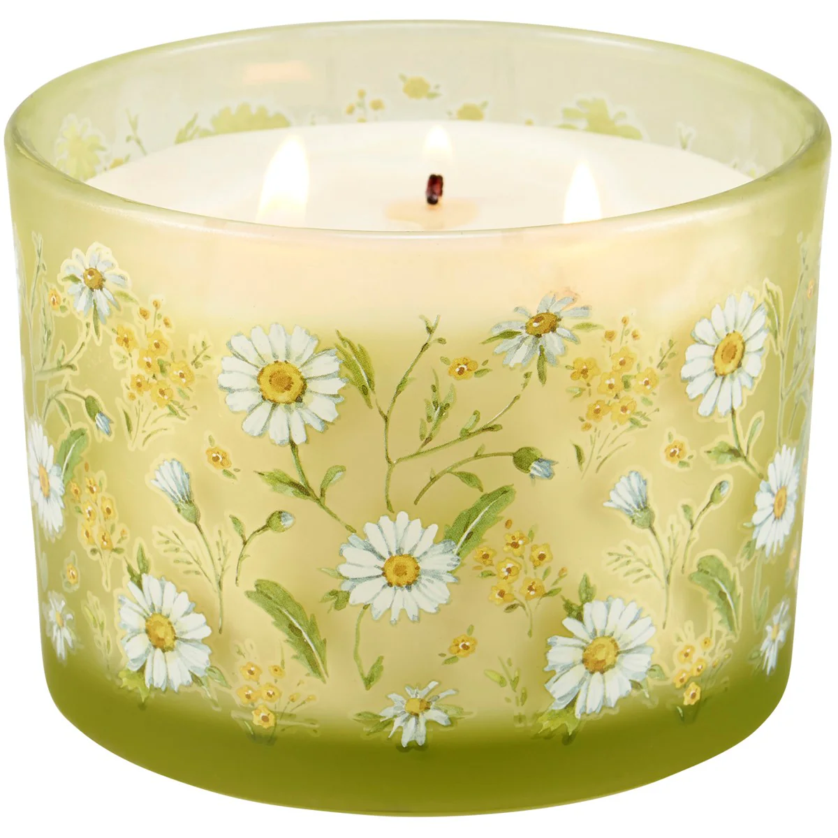 💙 💙 Field of Daisies 14 oz Jar Candle Flower Garden Scent