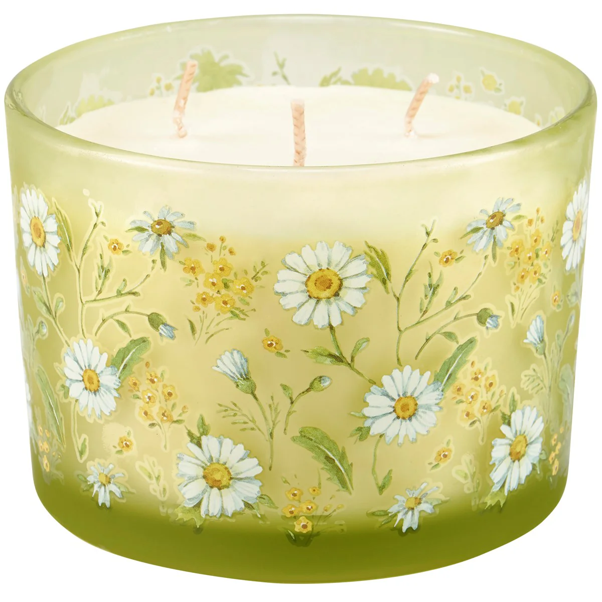 💙 💙 Field of Daisies 14 oz Jar Candle Flower Garden Scent - Image 2