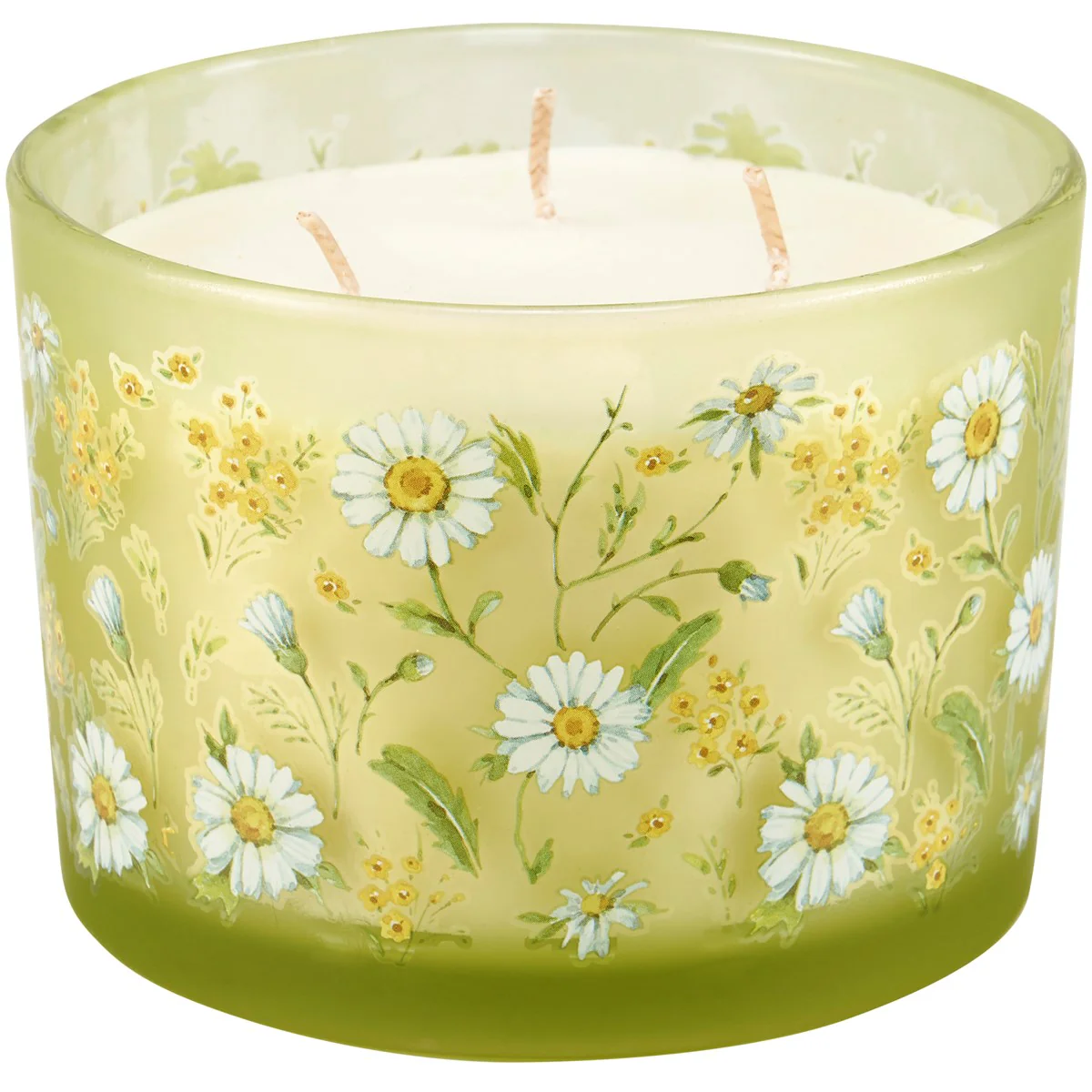 💙 💙 Field of Daisies 14 oz Jar Candle Flower Garden Scent - Image 6