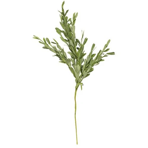 ๐ Foamy Willow Leaves Faux Foliage Spray