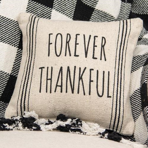 ๐ Forever Thankful 10" Striped Natural Pillow - Image 2