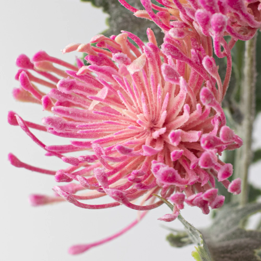 Fuchsia Pink Thistle 15" Faux Floral Bouquet - Image 3