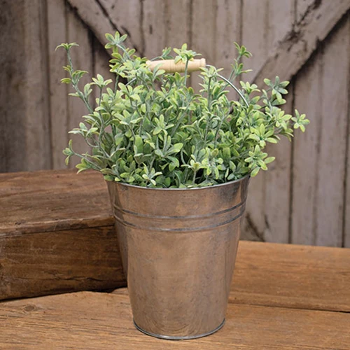 Galvanized Metal Bucket 7.5"H - Image 3