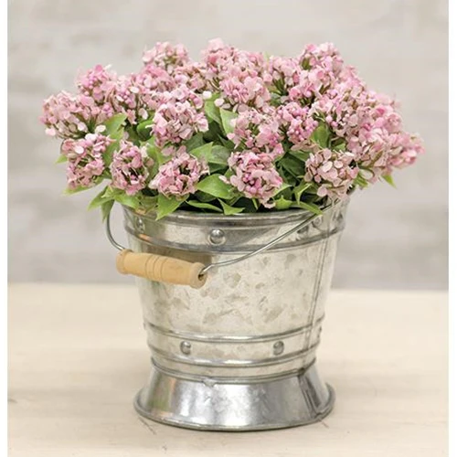 ๐ Galvanized Tin Mini Pail with Handle