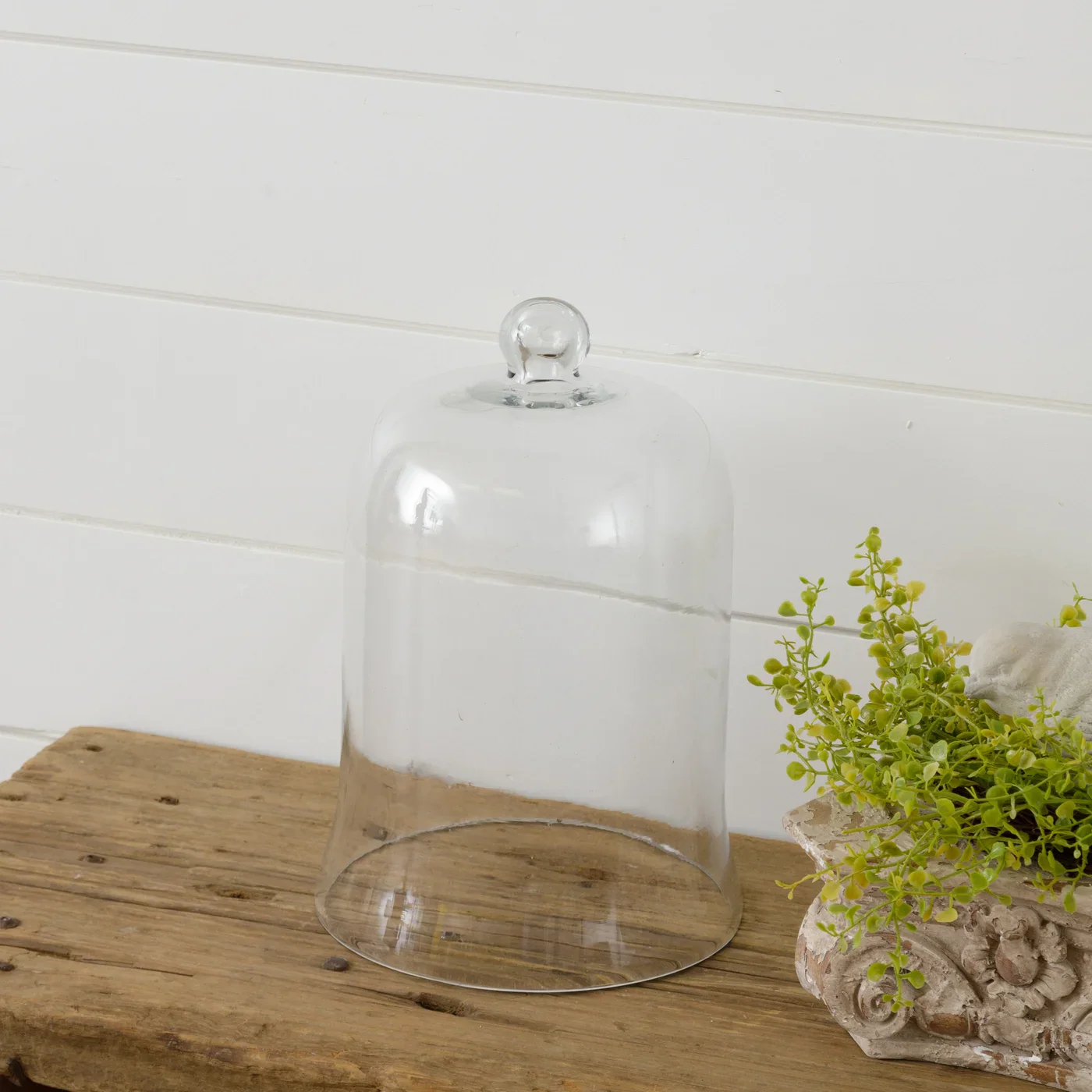 Glass Cloche 11" Display Dome