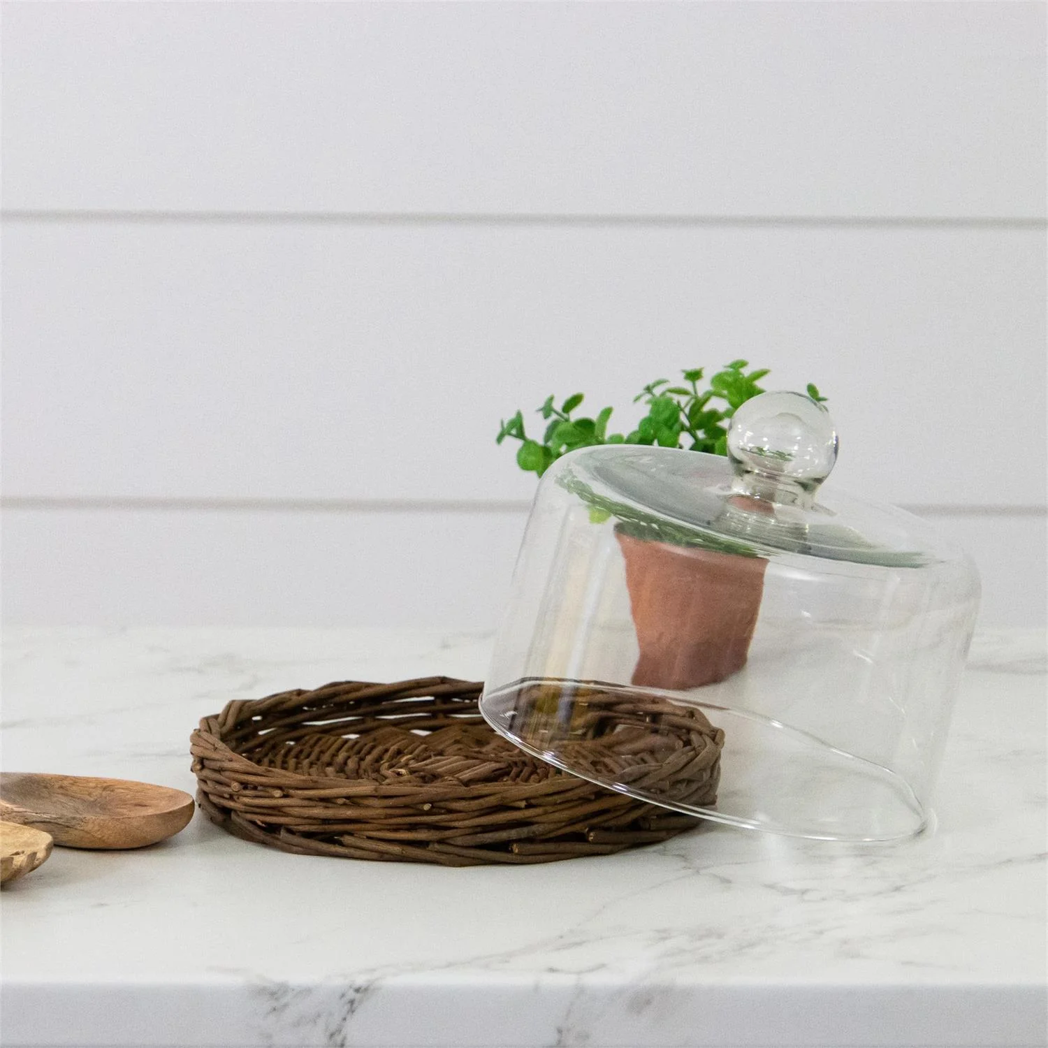 Glass Dome With Wicker Tray 8" Diameter - Image 2
